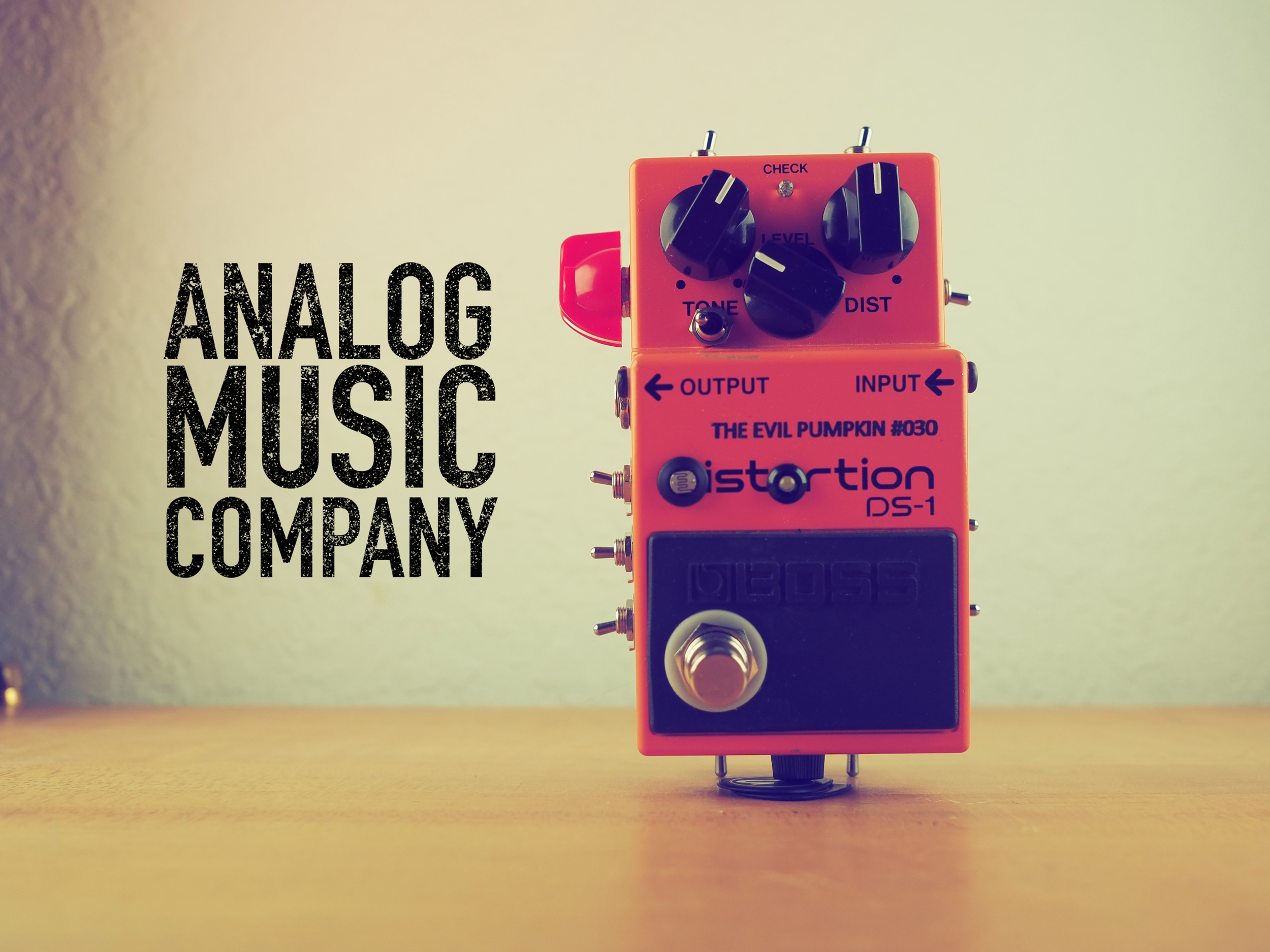 Analog music company evil pumpkin