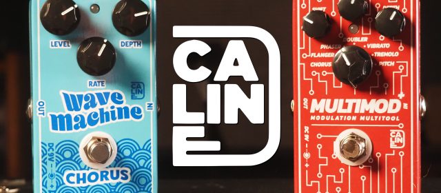 Caline Archives - Pedal of the Day