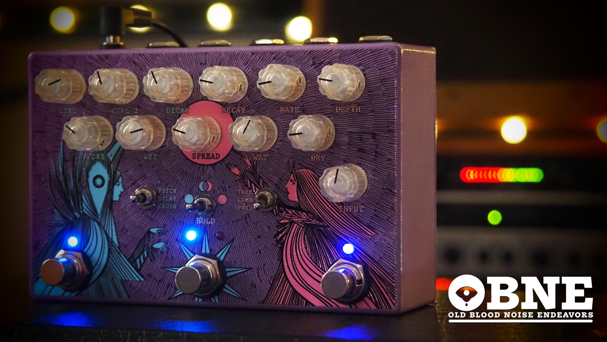 Old Blood Noise Endeavors Dark Light Dual Reverb - Pedal of the Day